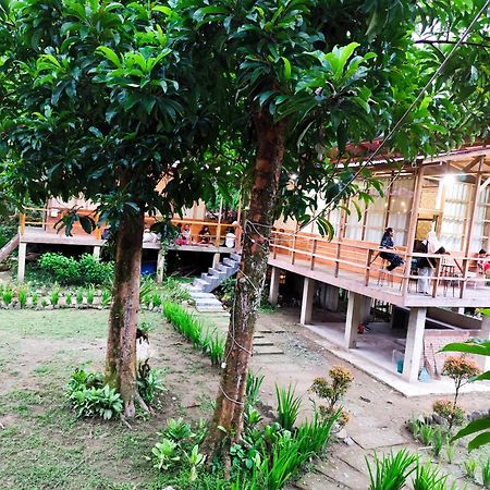 Bua Guesthouse Tangkahan Exterior photo