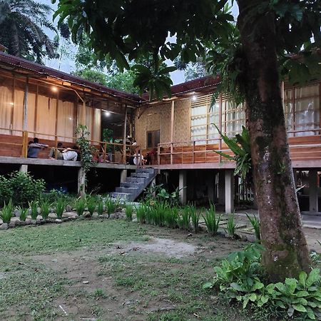 Bua Guesthouse Tangkahan Exterior photo