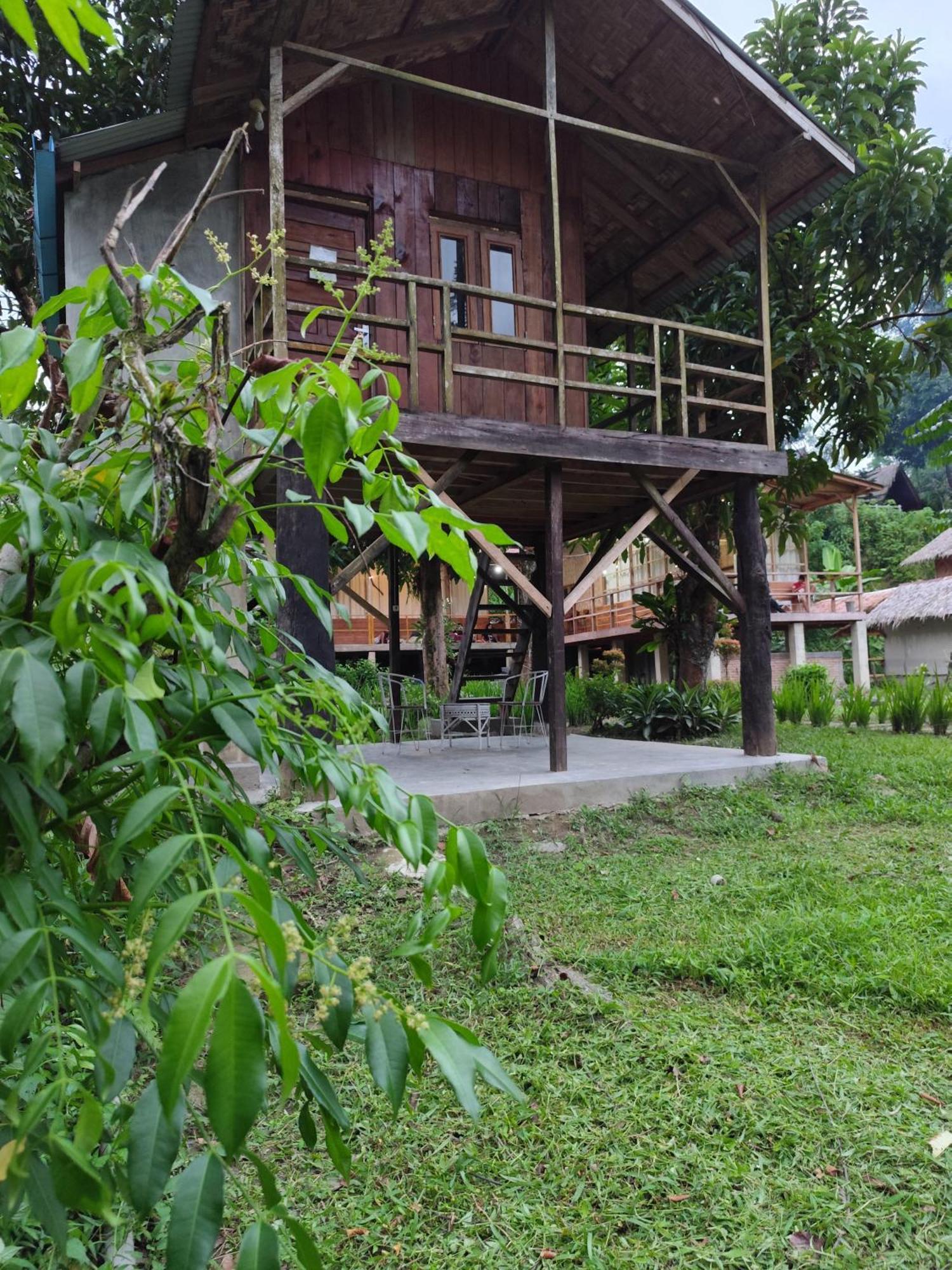 Bua Guesthouse Tangkahan Exterior photo
